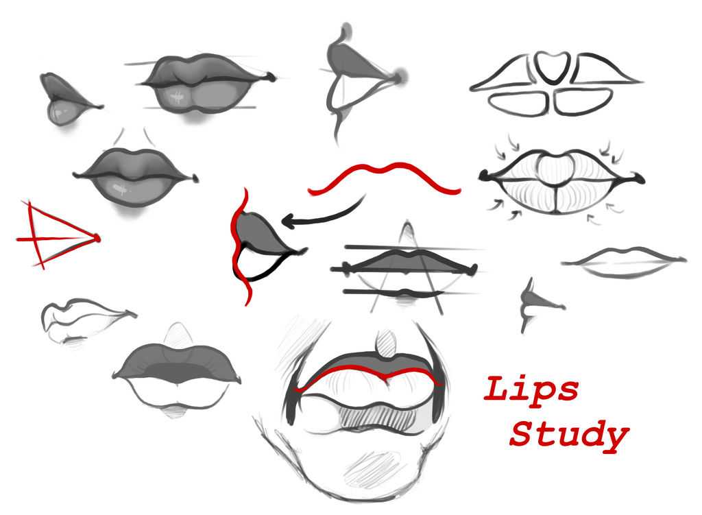 Lips Reference Photo 41
