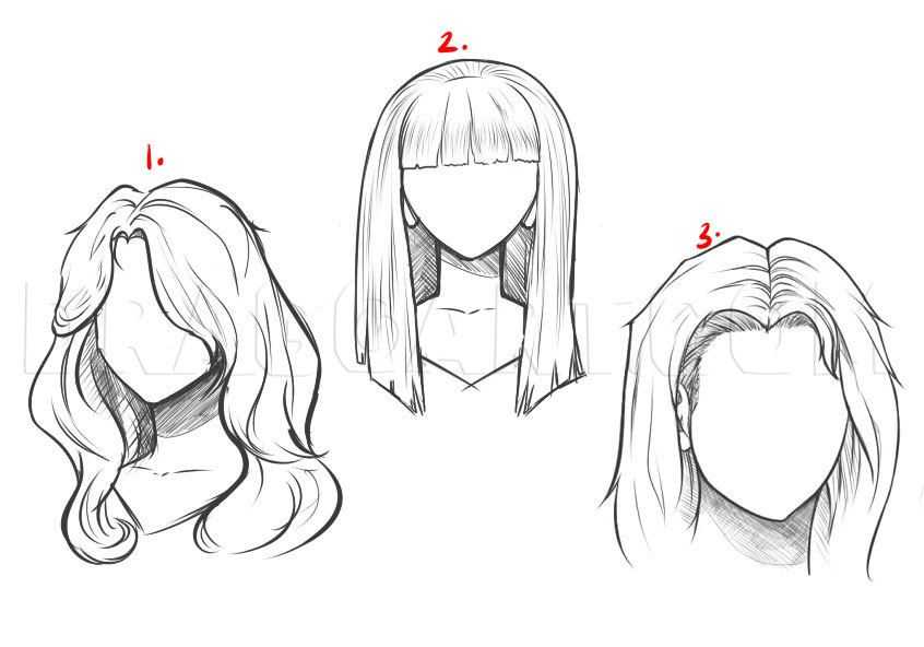 Long Hair Drawing Reference 13