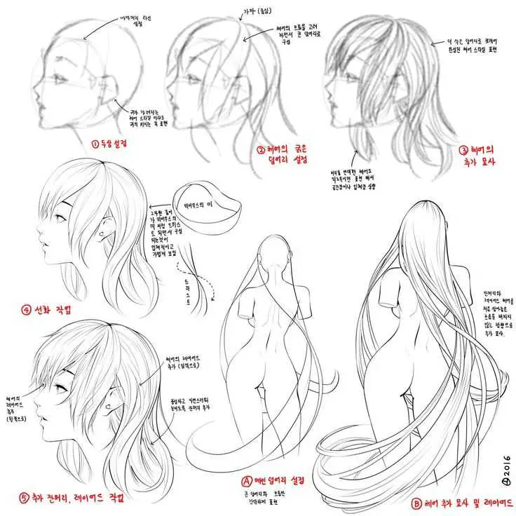 Long Hairstyles Drawing Reference 6