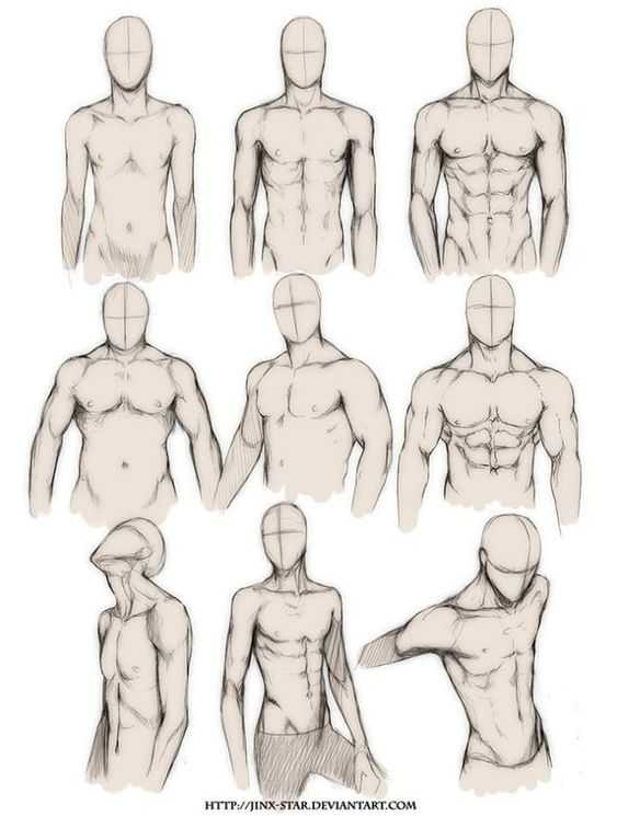 Male Muscle Drawing Reference 4