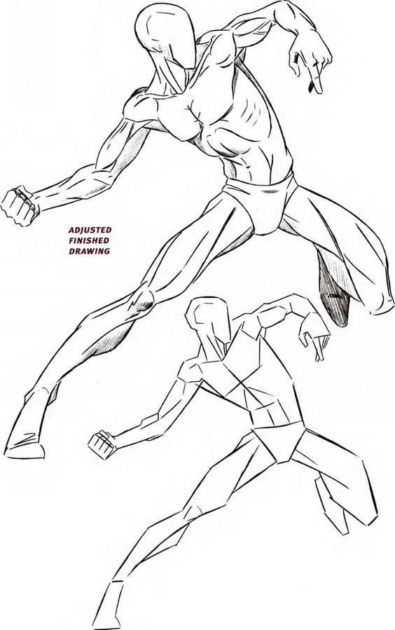 Male Muscle Drawing Reference 5
