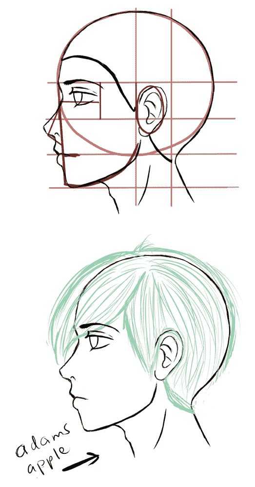 Male Side Profile Drawing Reference 5