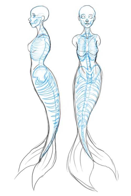 Mermaid Drawing Reference 6