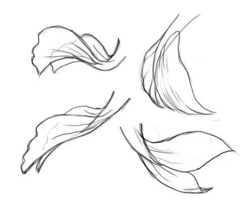 Mermaid Tail Drawing Reference 26