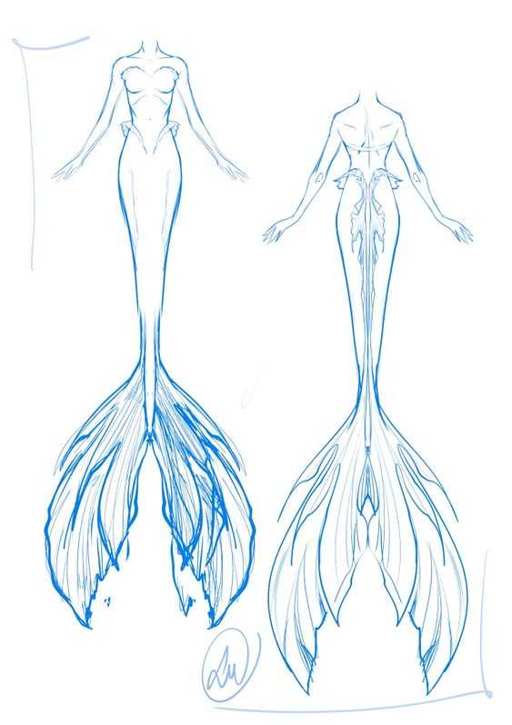 Mermaid Tail Drawing Reference 9