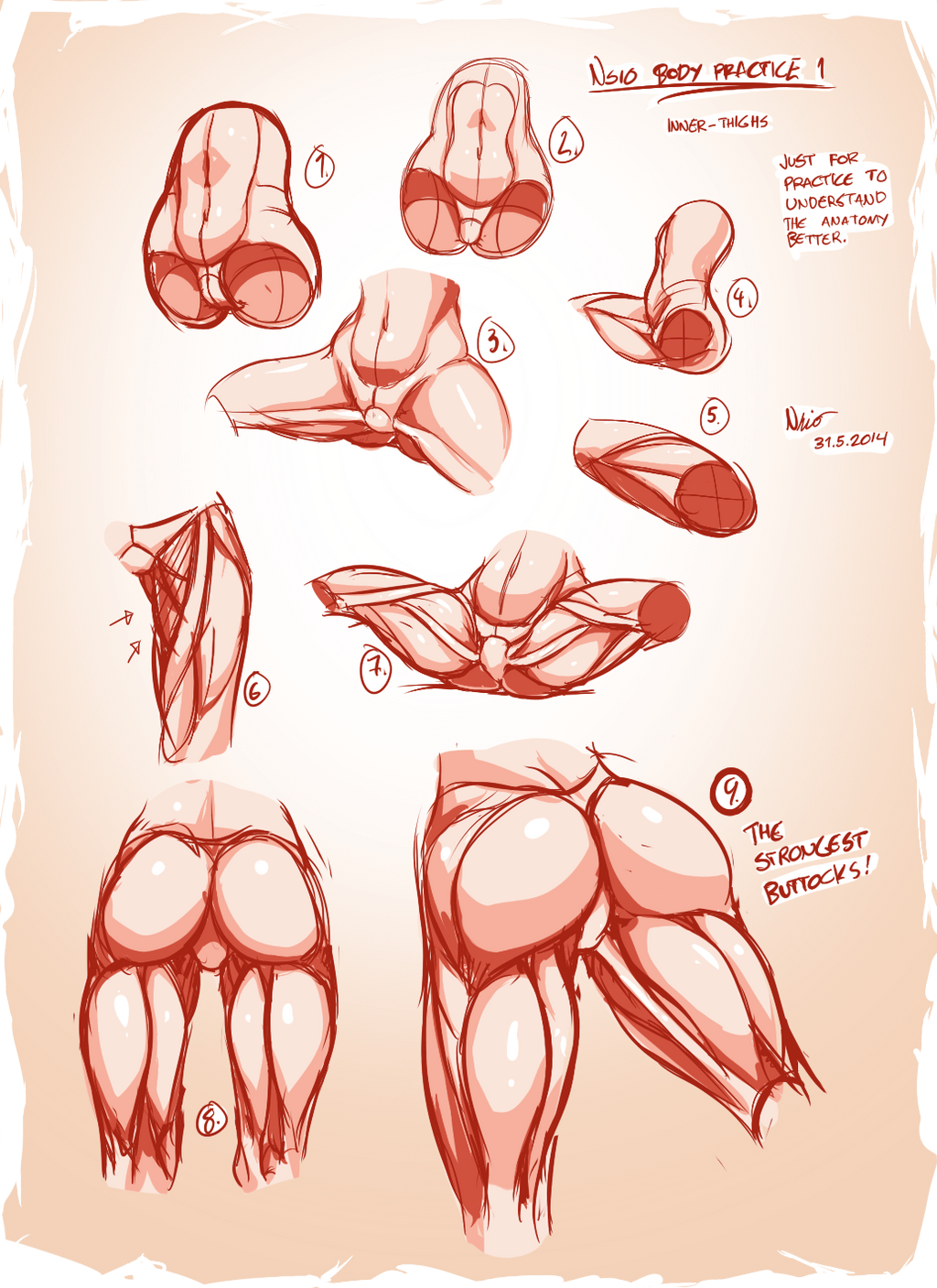 Muscle Art Reference 2