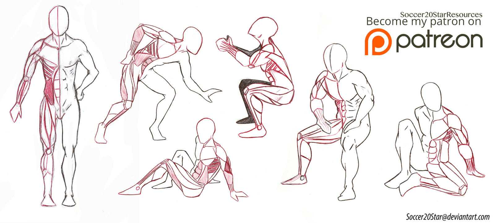 Muscle Art Reference 8