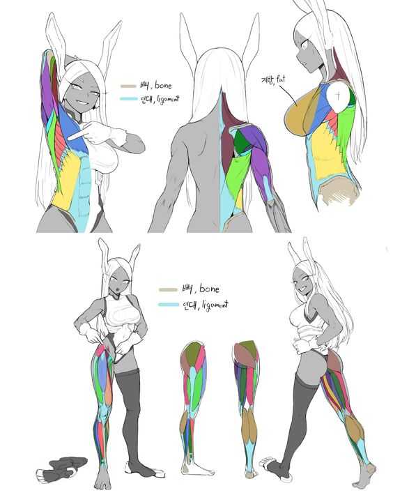 Muscle Pose Reference 5