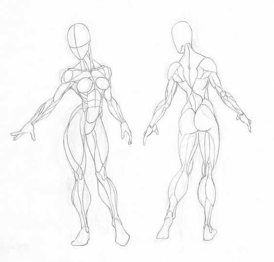 Muscle Pose Reference 8