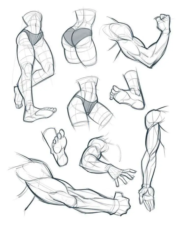 Muscular Woman Drawing Reference 1