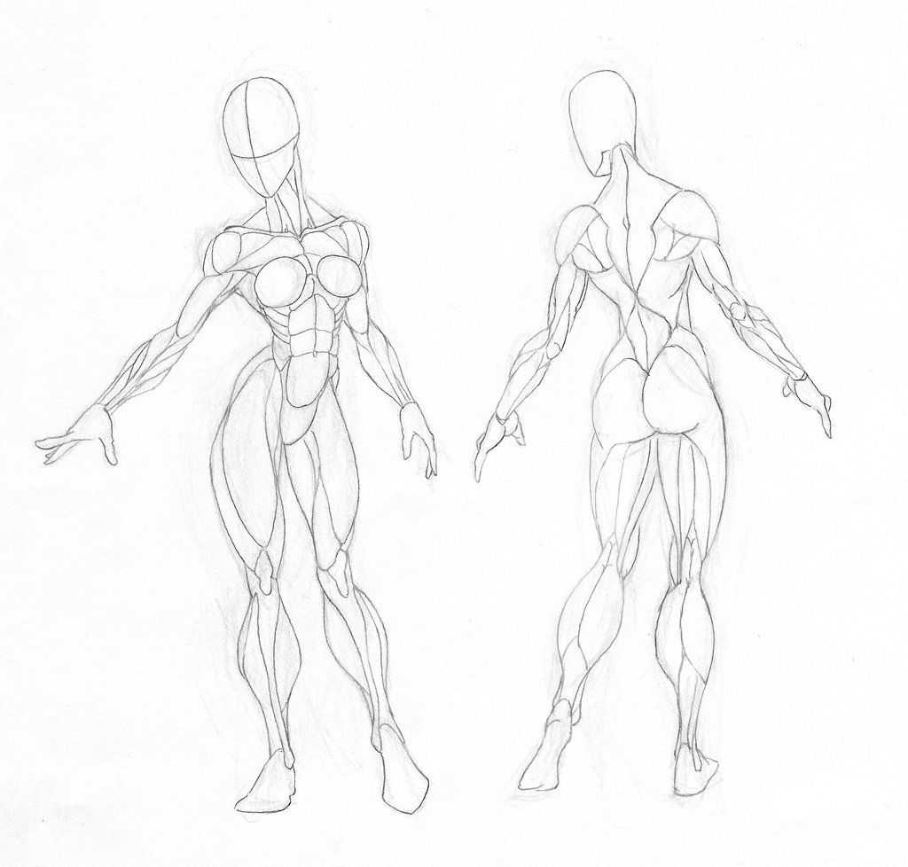 Muscular Woman Drawing Reference 5