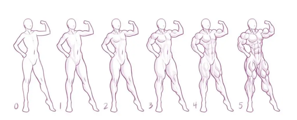 Muscular Woman Drawing Reference 7 1024x414