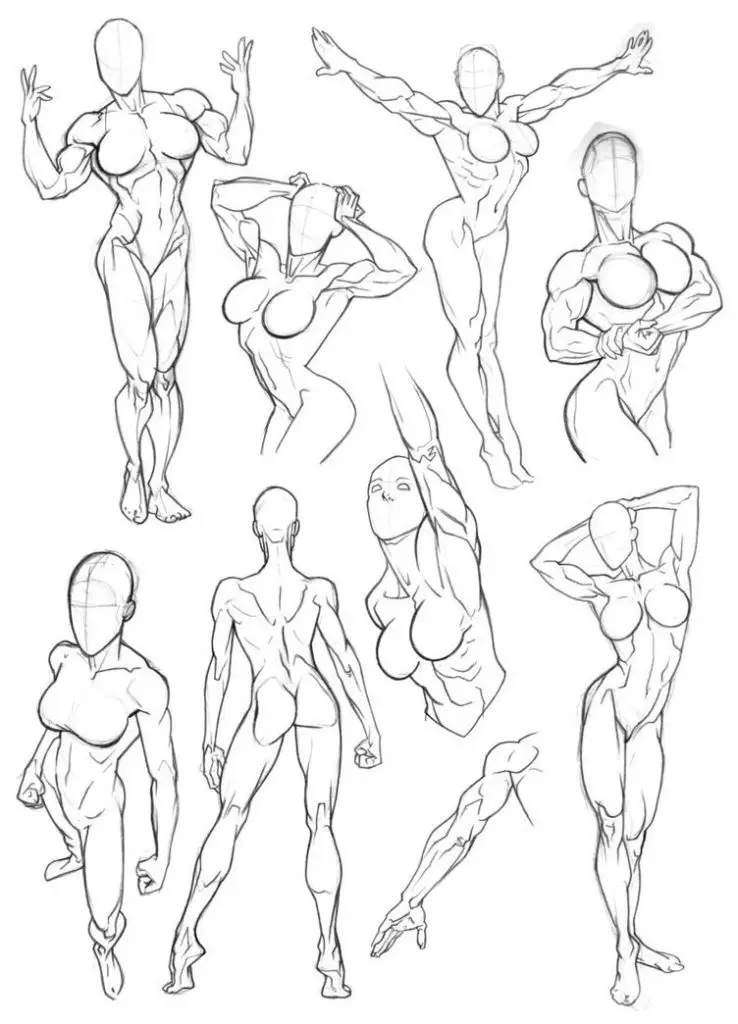 Muscular Woman Drawing Reference 9 738x1024