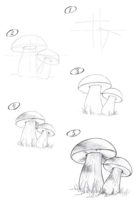 mushroom references 22