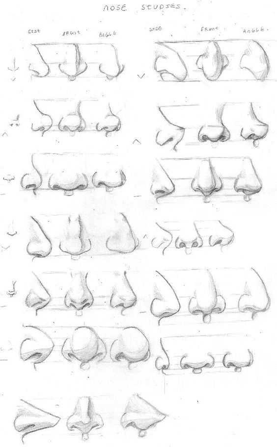 nose drawing reference
nose drawing reference front view
nose reference
nose art reference
nose sketch reference 22