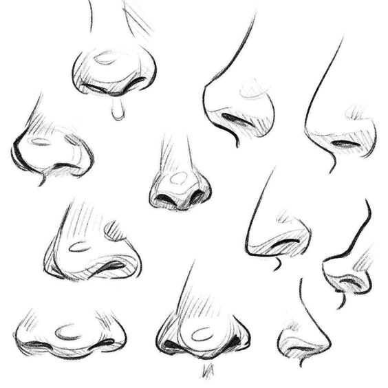 nose drawing reference
nose drawing reference front view
nose reference
nose art reference
nose sketch reference 25