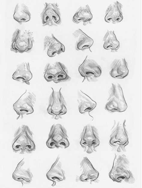 nose drawing reference
nose drawing reference front view
nose reference
nose art reference
nose sketch reference 26
