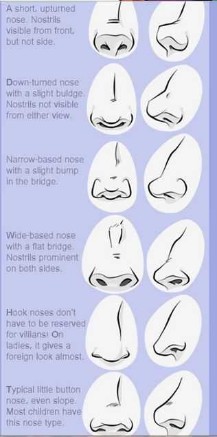 nose drawing reference
nose drawing reference front view
nose reference
nose art reference
nose sketch reference 30