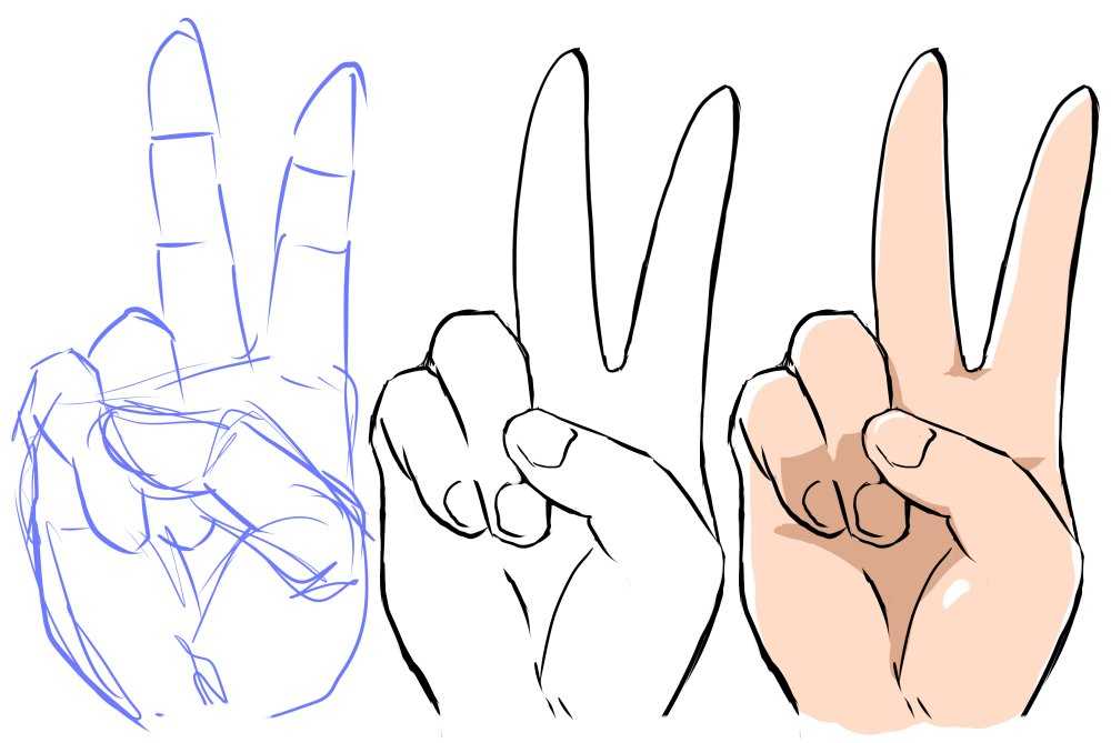 Peace Sign Hand Reference 2