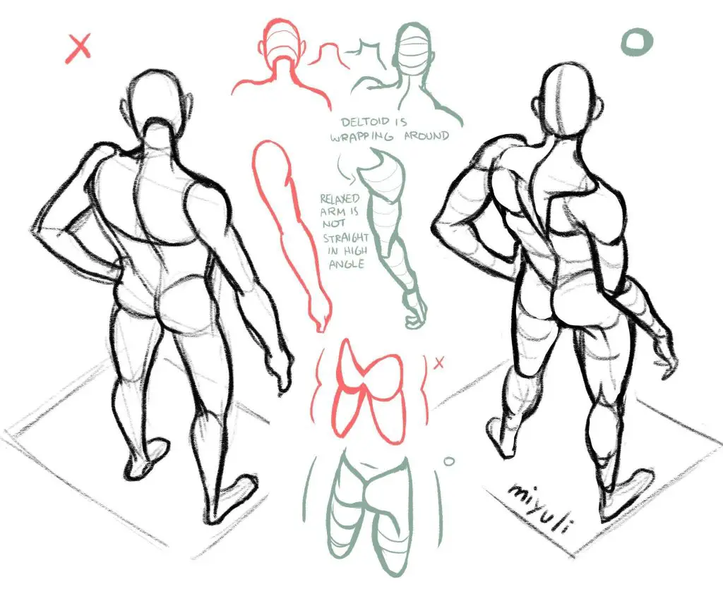 Perspective Pose Reference 5