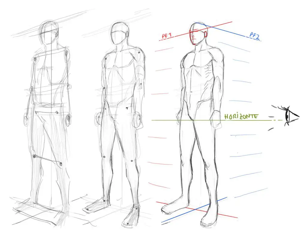 Perspective Pose Reference 7