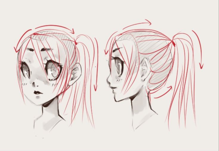 Ponytail Drawing Reference 1