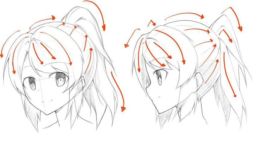 Read more about the article Ponytail Drawing Reference: Unleash Your Artistic Flair!