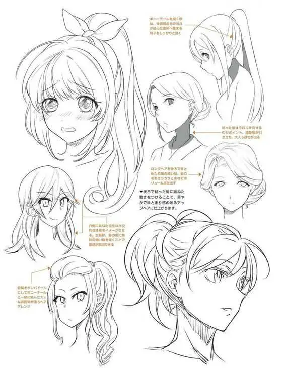 Ponytail Drawing Reference 15