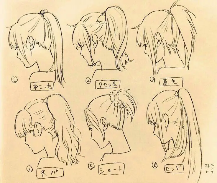 Ponytail Drawing Reference 2