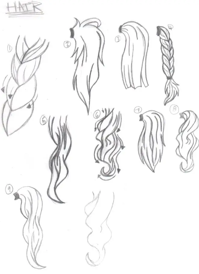 Ponytail Drawing Reference 5