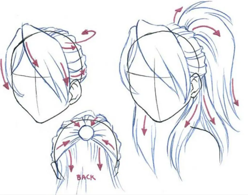 Ponytail Drawing Reference 7 1024x807