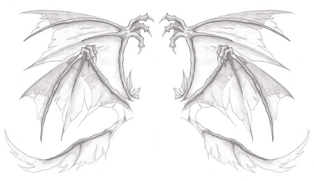 Realistic Dragon Wings Drawing 10