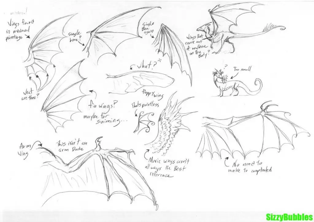 Realistic Dragon Wings Drawing 13 1024x725