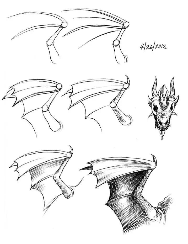 Realistic Dragon Wings Drawing 9