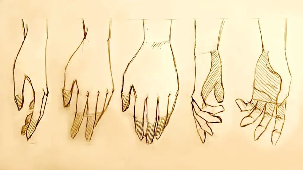 Relaxed Hand Reference 1 1024x576