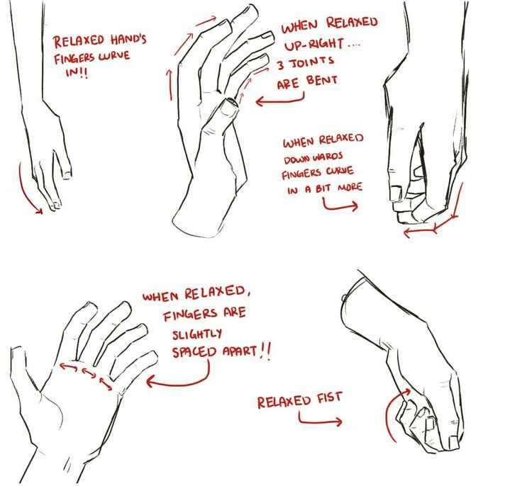 Relaxed Hand Reference 2