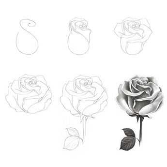 rose drawing reference, rose drawing, easy rose drawing reference, how to draw rose, roses drawing easy, rose drawings, rose sketch 23