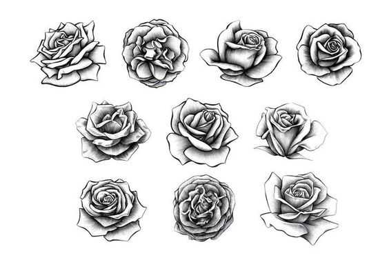 rose drawing reference, rose drawing, easy rose drawing reference, how to draw rose, roses drawing easy, rose drawings, rose sketch 24
