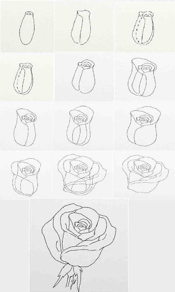 rose drawing reference, rose drawing, easy rose drawing reference, how to draw rose, roses drawing easy, rose drawings, rose sketch 28