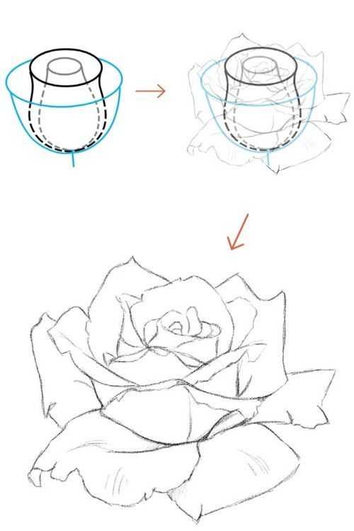 rose drawing reference, rose drawing, easy rose drawing reference, how to draw rose, roses drawing easy, rose drawings, rose sketch 8