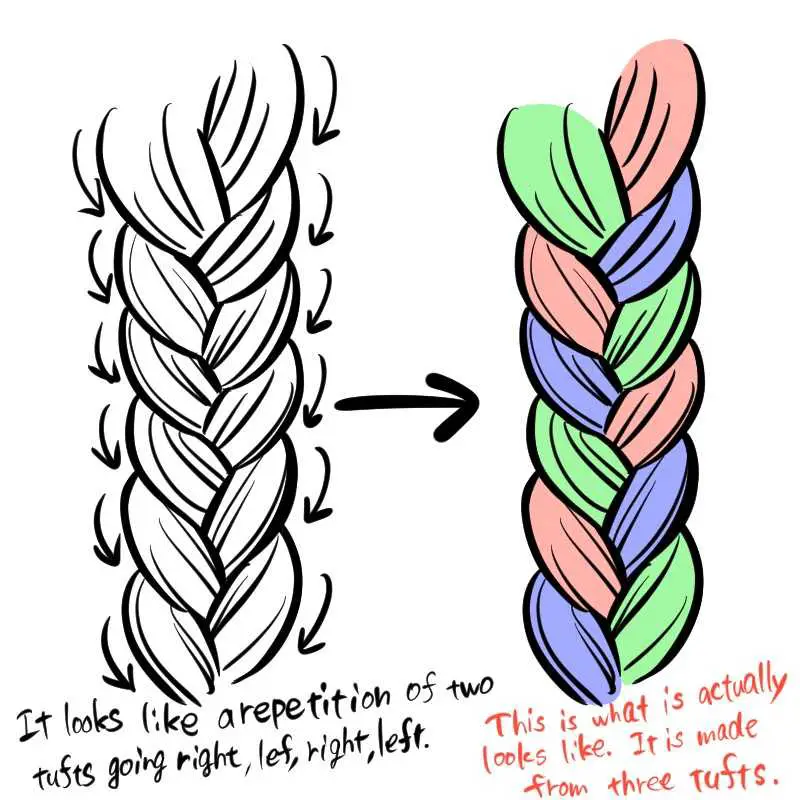Side Braid Drawing Reference 10