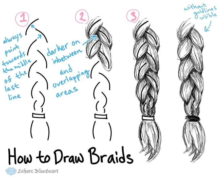 Side Braid Drawing Reference 8