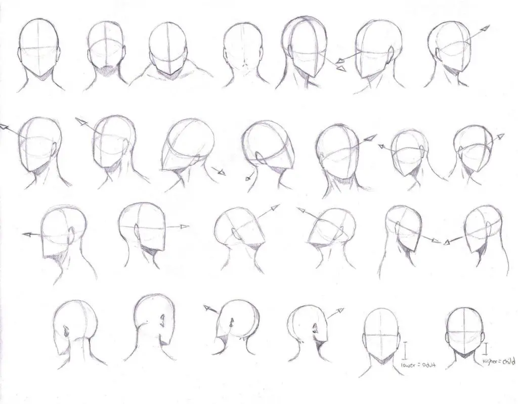 Side Profile Drawing Reference 10 1024x799