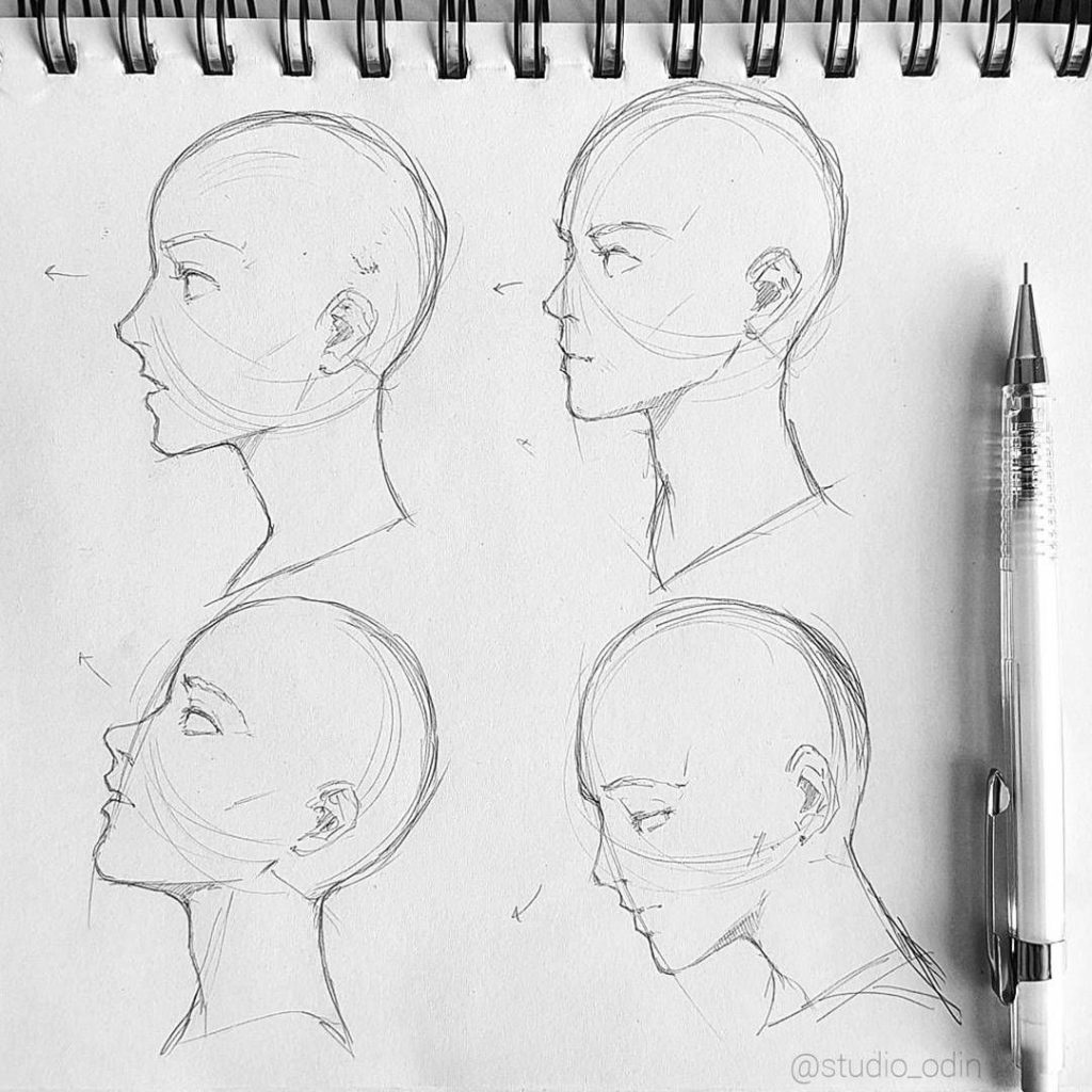 Side Profile Drawing Reference 3 1024x1024