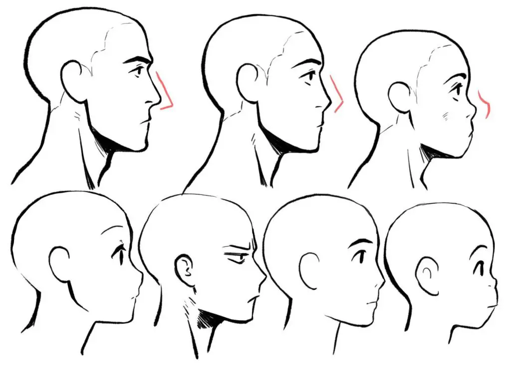 Side Profile Drawing Reference 4 1024x739