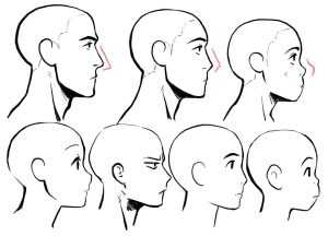 Read more about the article Side Profile Drawing Reference: Ultimate Collection for Artists