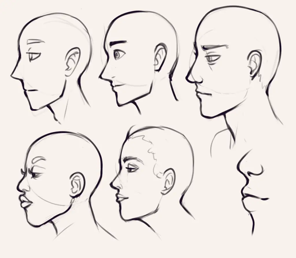 Side Profile Drawing Reference 5