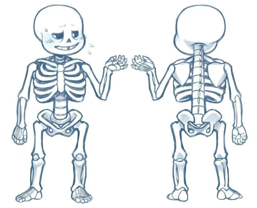 Skeleton Drawing Reference 1