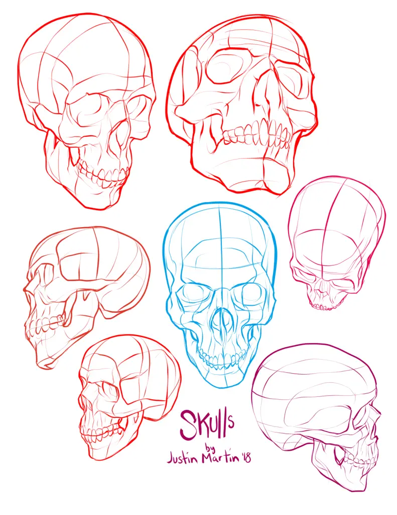 Skeleton Drawing Reference 14
