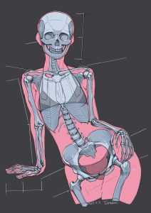 Read more about the article Skeleton Drawing Reference: Curated Collection for Artists